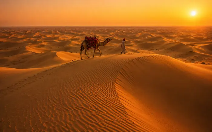 Traditional camel ride across the Thar Desert during a Rajasthan Desert Safari Experience