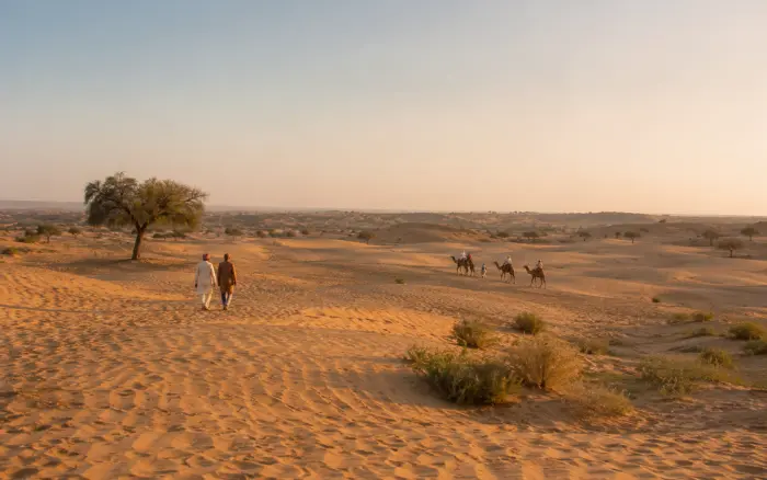 Jaisalmer Thar Desert landscape with camel safari