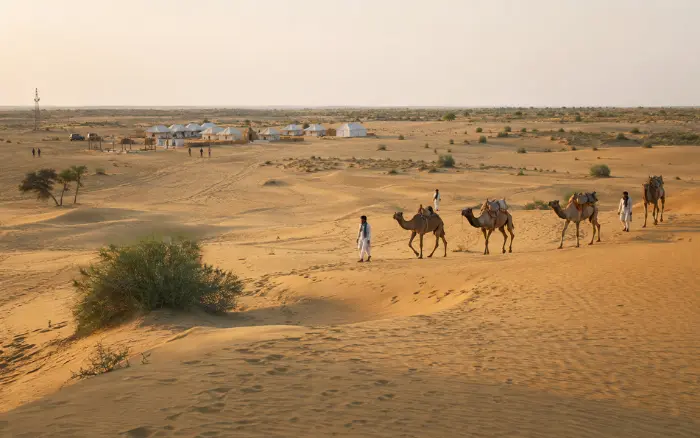 Jaisalmer desert camel safari in Rajasthan