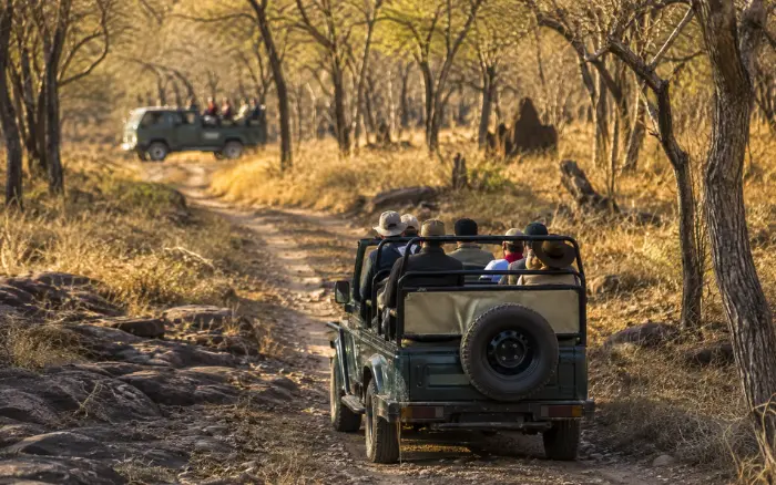Jeep safari vehicle exploring Ranthambore National Park